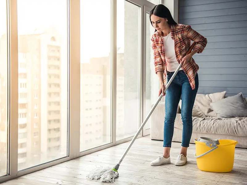 Iris Lawncare Services